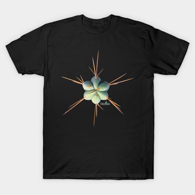 Trichocereus Hybrid SS01 x SS02 Tip T-Shirt by Cactee